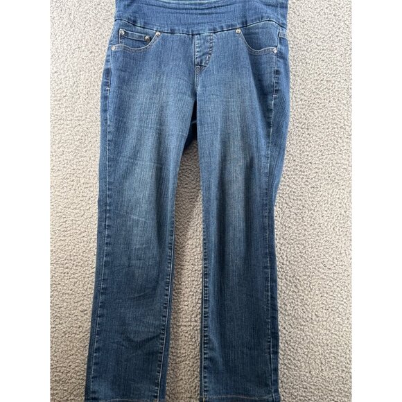 Jag Jeans Womens Pull-On Stretch Denim Jeans Size  8P - Picture 1 of 9